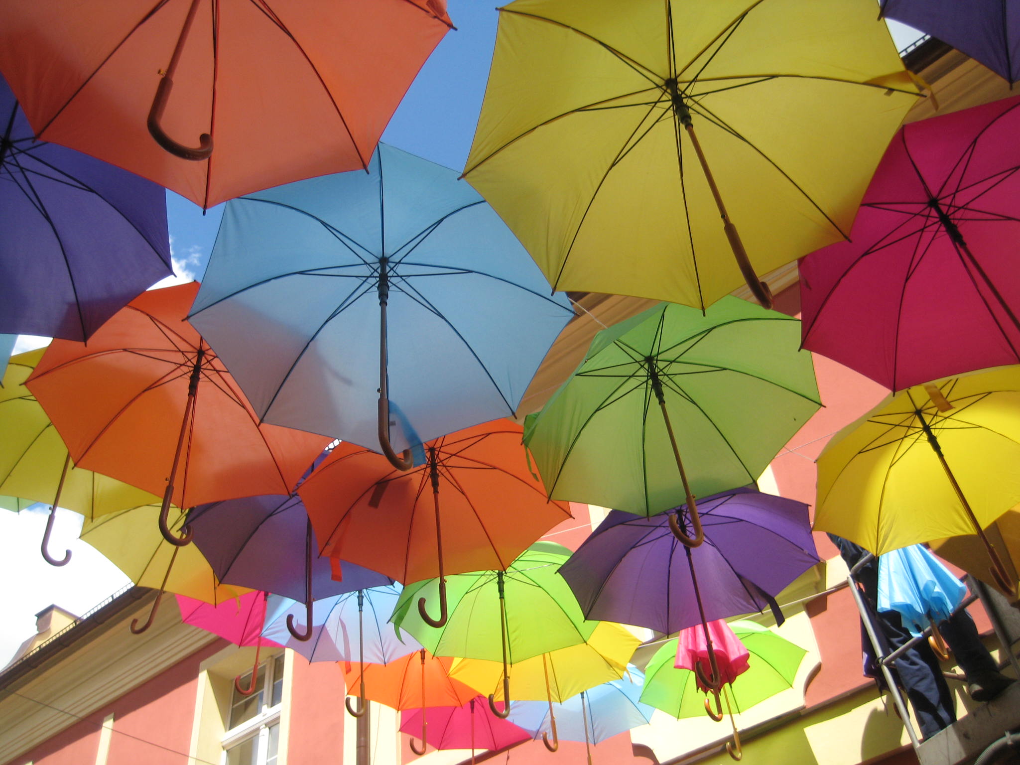 kolorowe parasole leszno - Jacek Marciniak