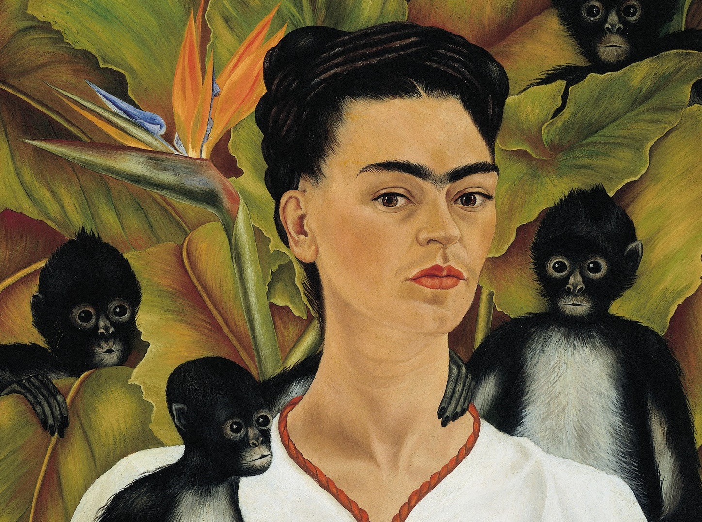 Frida z małpami - Maciej Mazurek