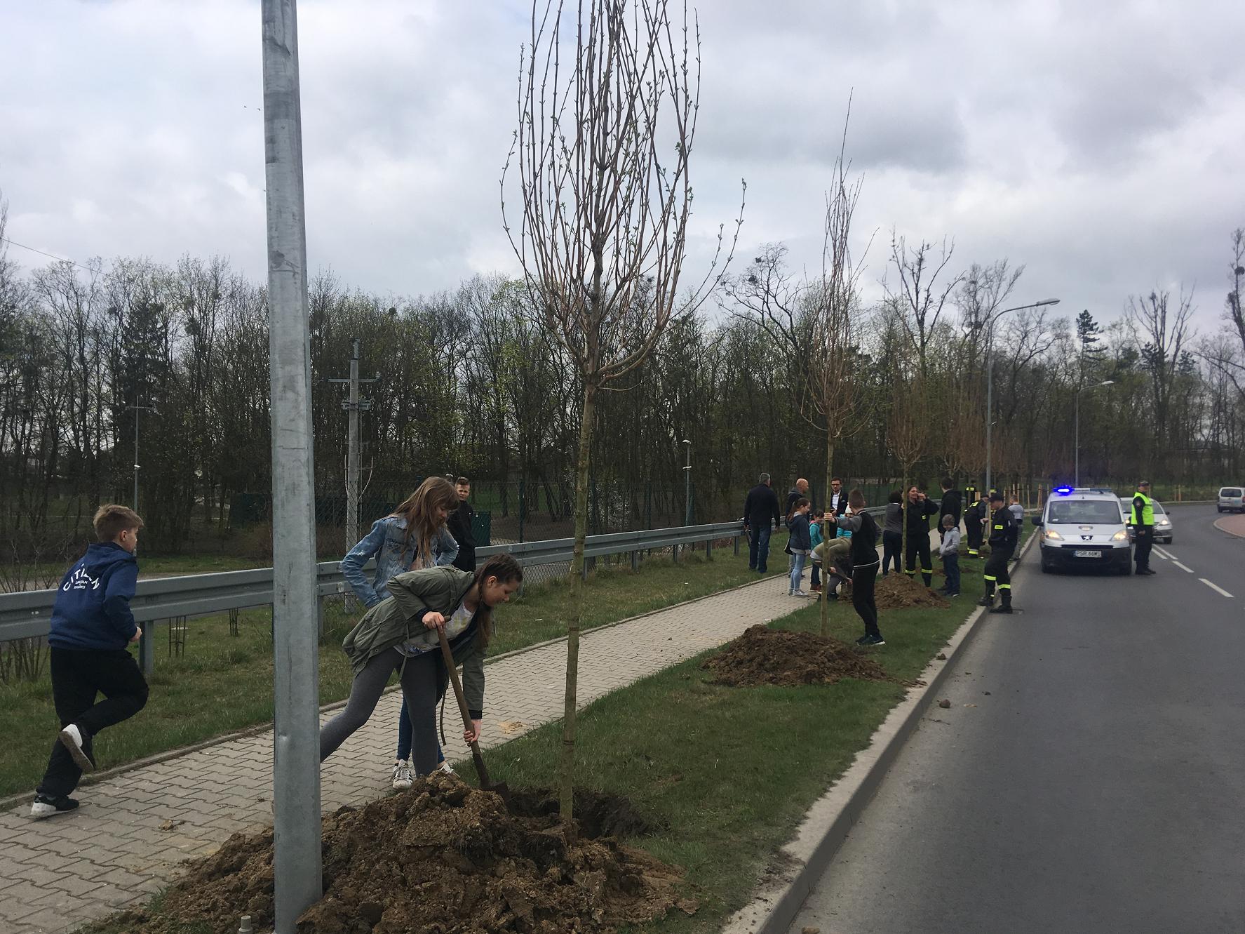 zielona środa sadzenie drzew - Rafał Regulski