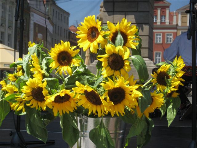 Ukraińska Wiosna - jarmark na Starym Rynku - Aleksandra Włodarczyk