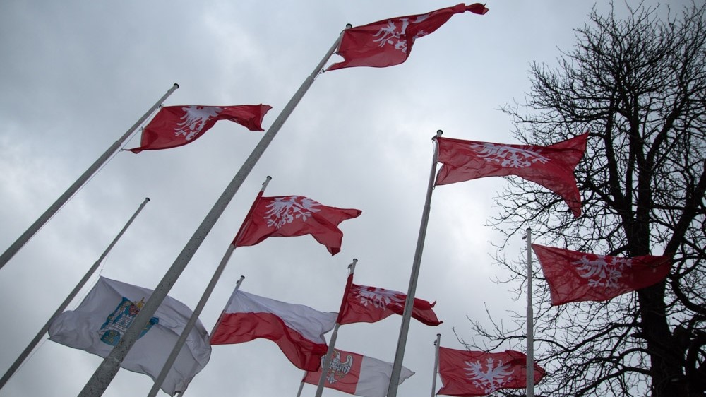 obchody powstanie wielkopolskie flagi - Wojtek Wardejn