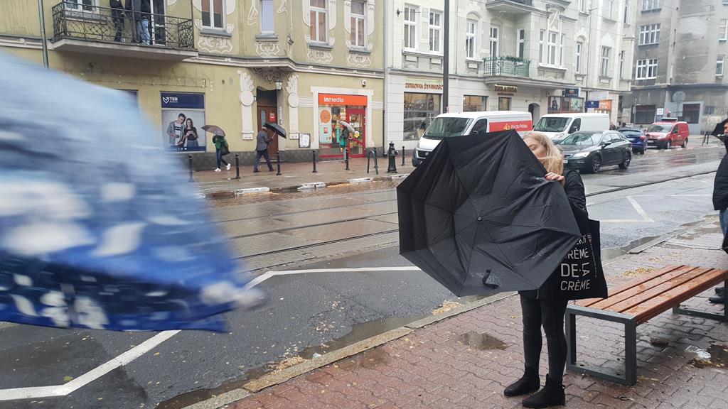 wiatr i deszcz parasole - Michał Jędrkowiak
