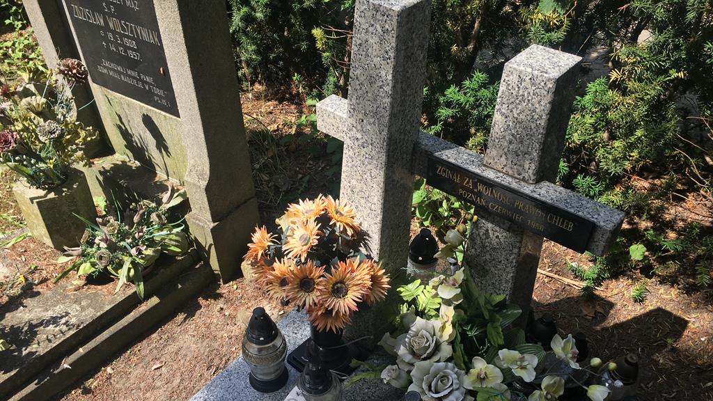 cmentarz Bluszczowa ofiary Czerwca56 - Adam Michalkiewicz 