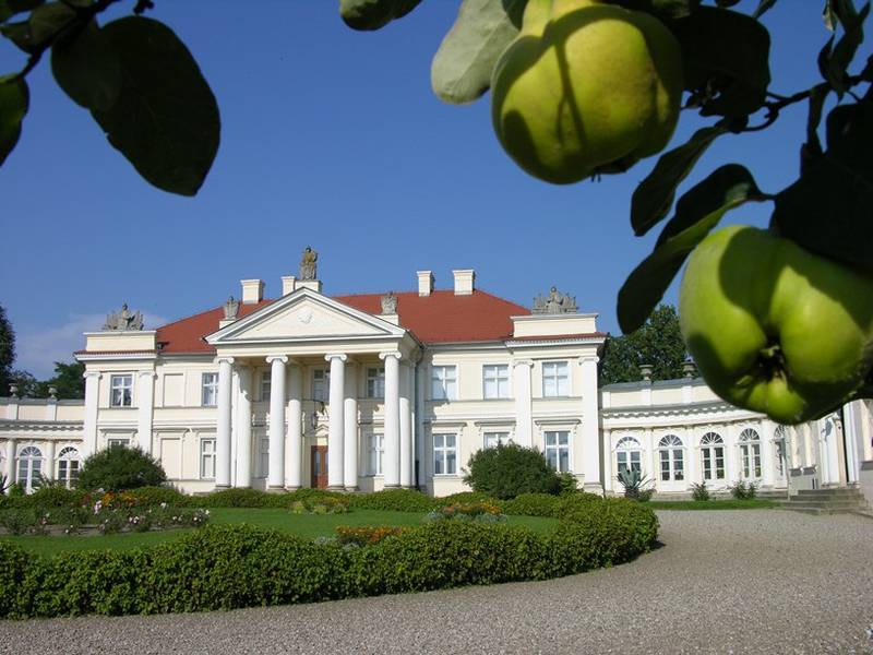 pałac w Śmiełowie - mnp.art.pl