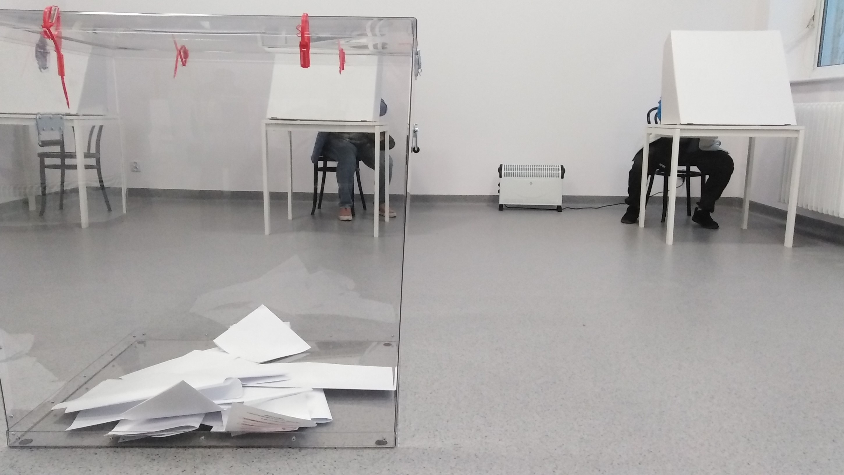 wybory urna głosowanie  - Wojtek Wardejn