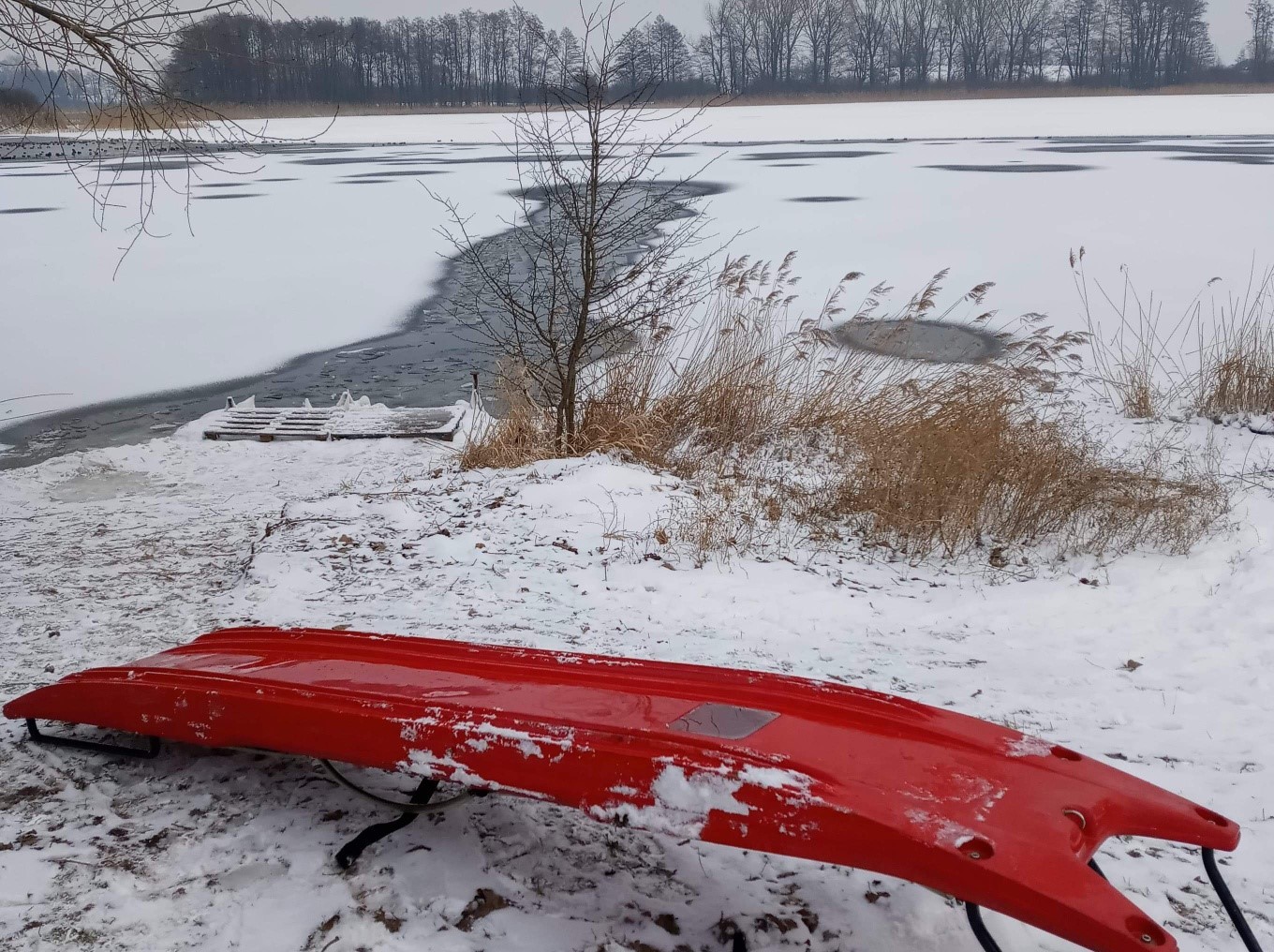 pies utonął akcja ratunkowa jezioro - Straż Pożarna Trzemeszno