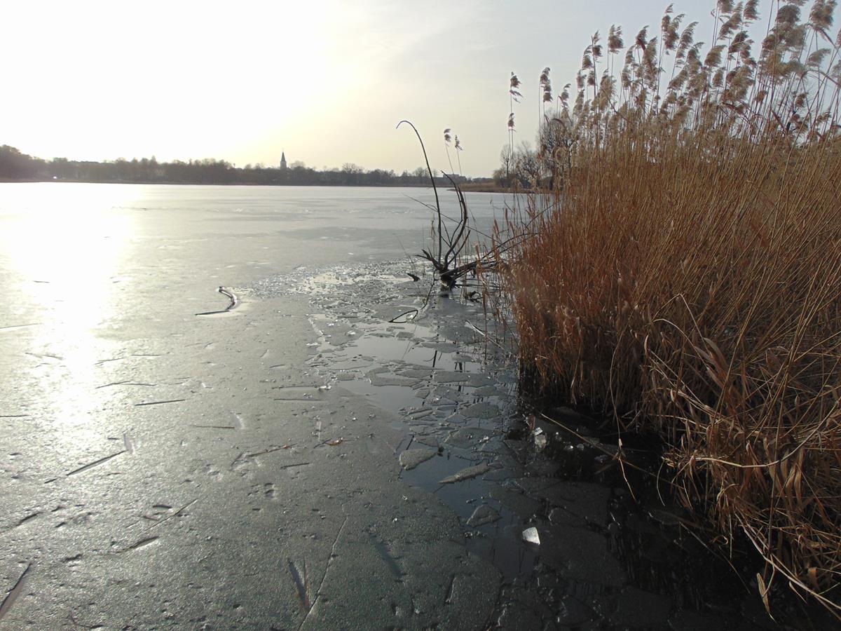 jezioro miejskie międzychód lód kra - Komenda Powiatowa PSP w Międzychodzie