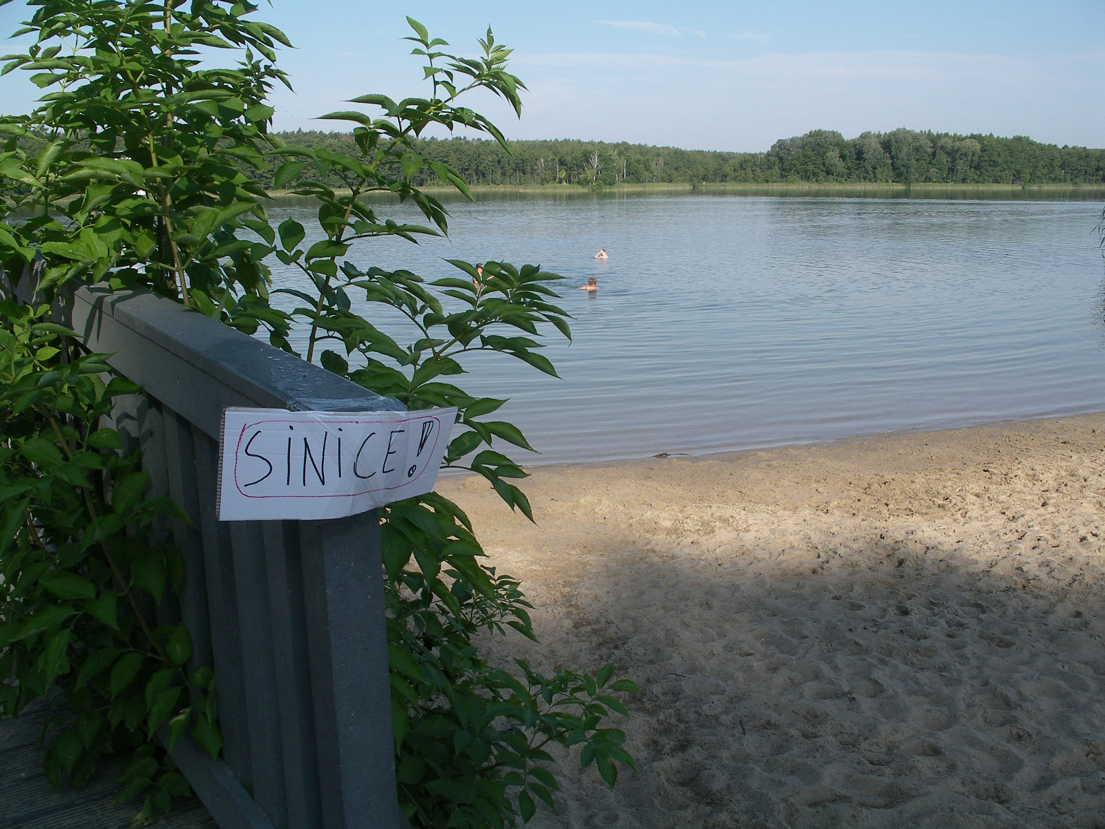 sinice jezioro strzeszyńskie Jerzy Juszczyński - Jerzy Juszczyński