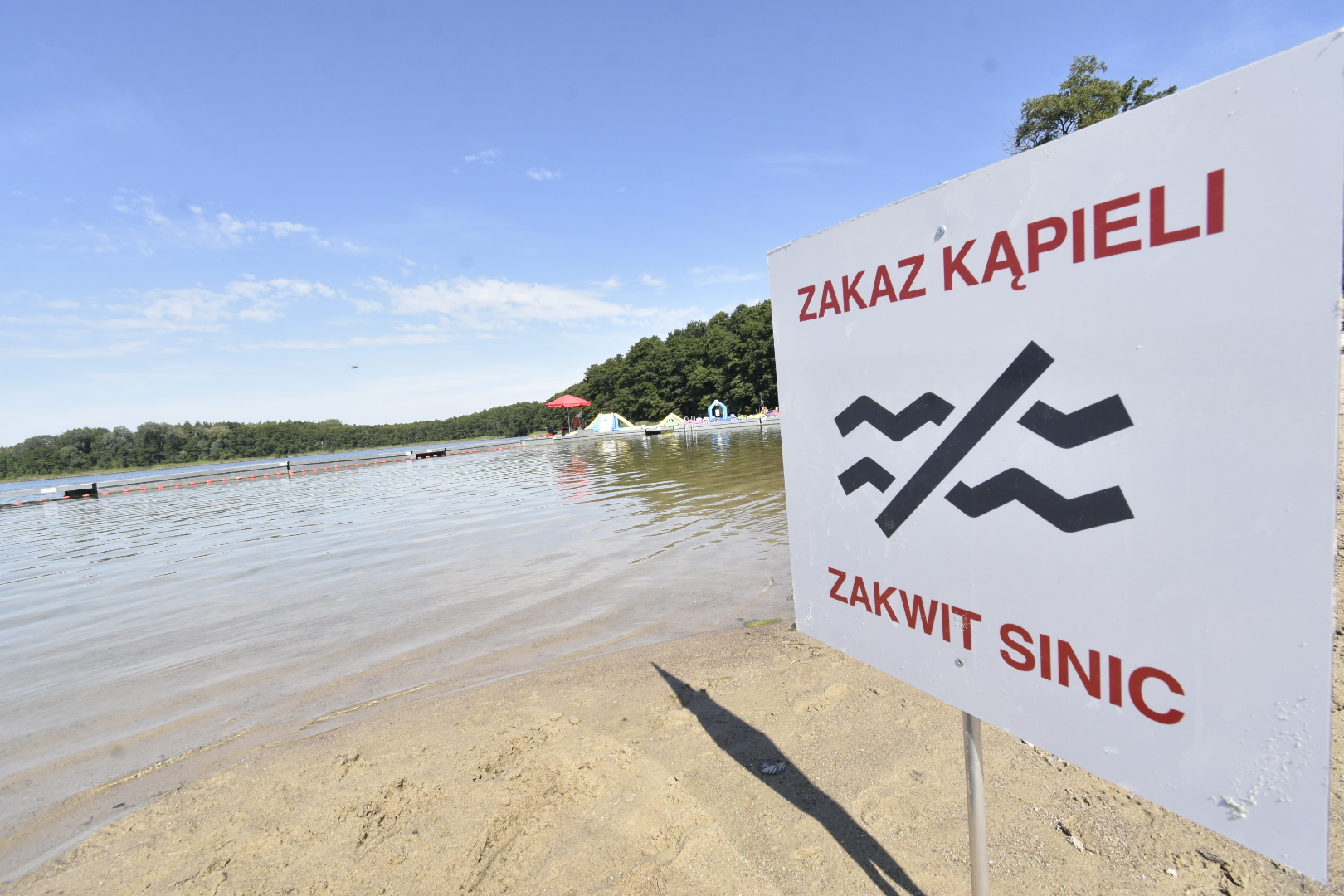 jezioro strzeszyńskie zakaz kąpieli sinice - Wojtek Wardejn - Radio Poznań