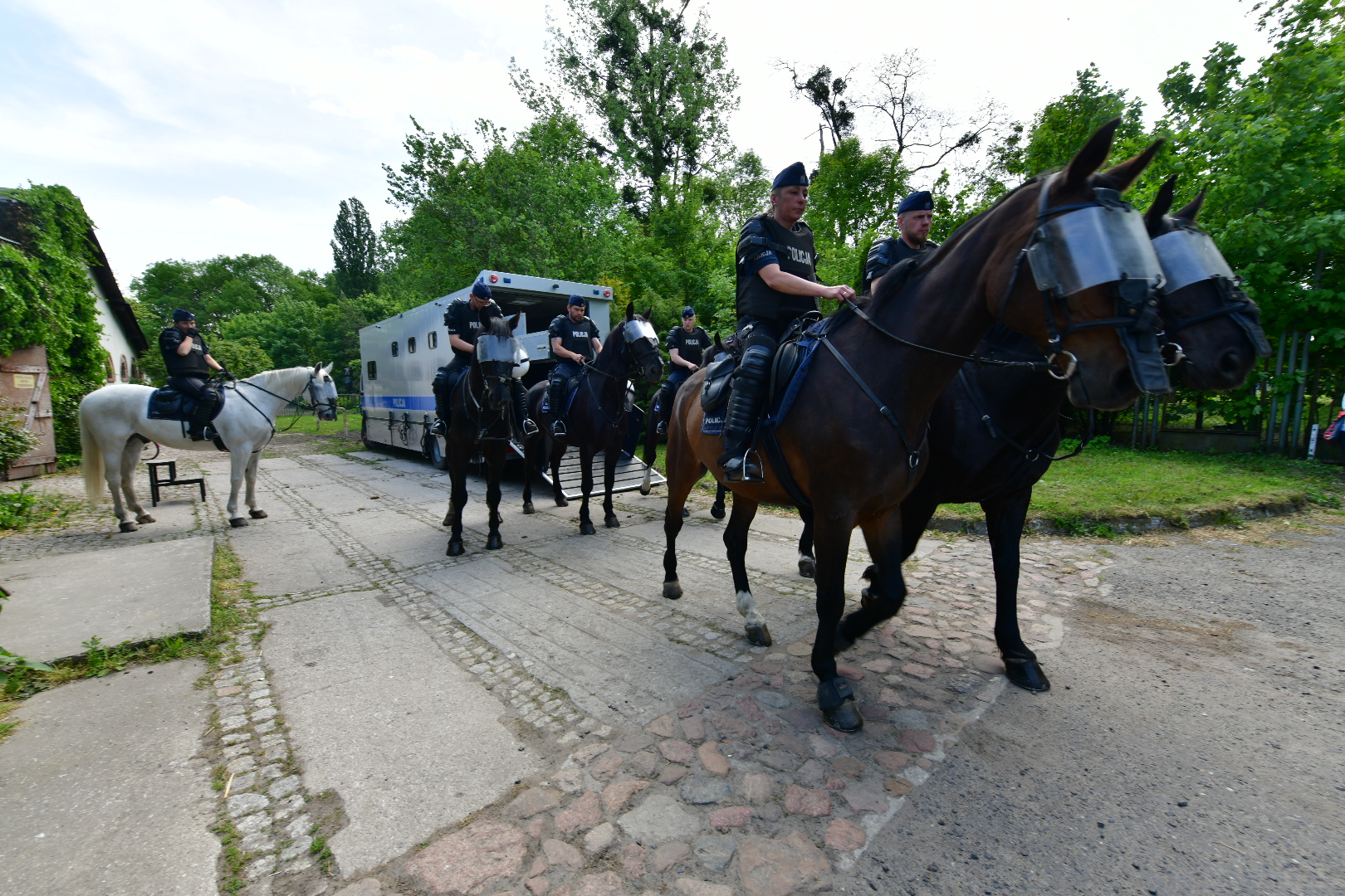 koniowóz vciężarówka do przewożenia koni konie policyjne policja konna policjanci konie - Wojtek Wardejn - Radio Poznań