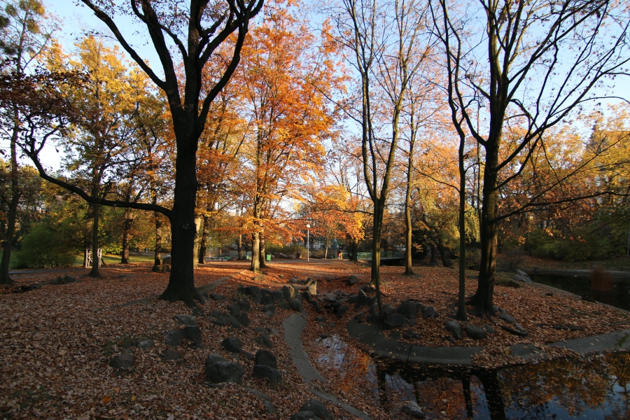 jesień park wilsona