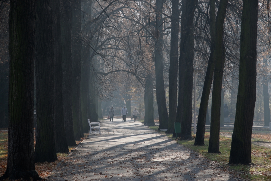 park wilsona - Justyna Kowalewska
