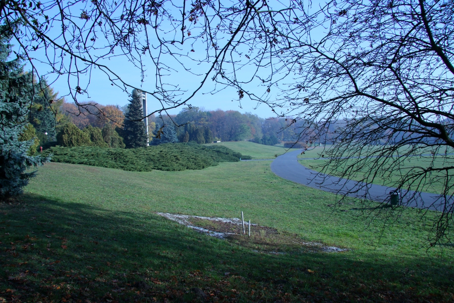 cytadela - Justyna Kowalewska