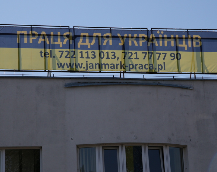 praca dla ukraincow transparent - Marcin Wesołowski