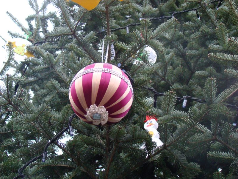 Małgorzata Rybczyńska