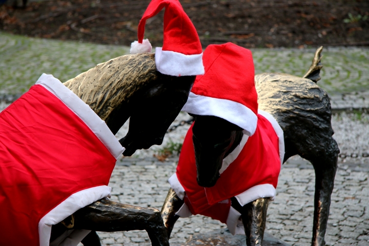 kubraczki dla koziołków - Justyna Kowalewska