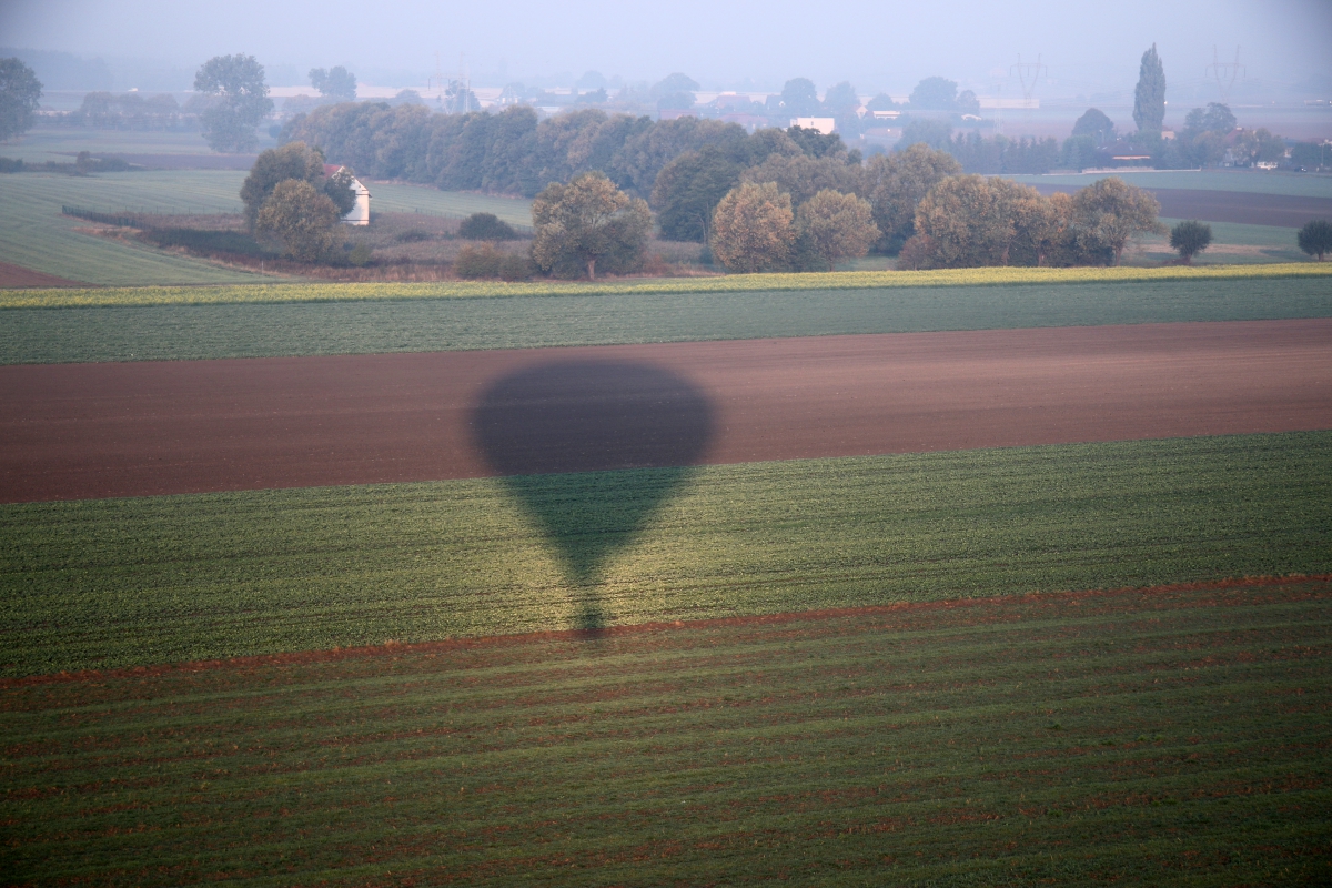 cień balon pole - Marcin Wesołowski
