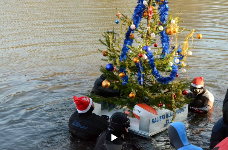 choinka na prośnie - KLub Płetwonurków Fala