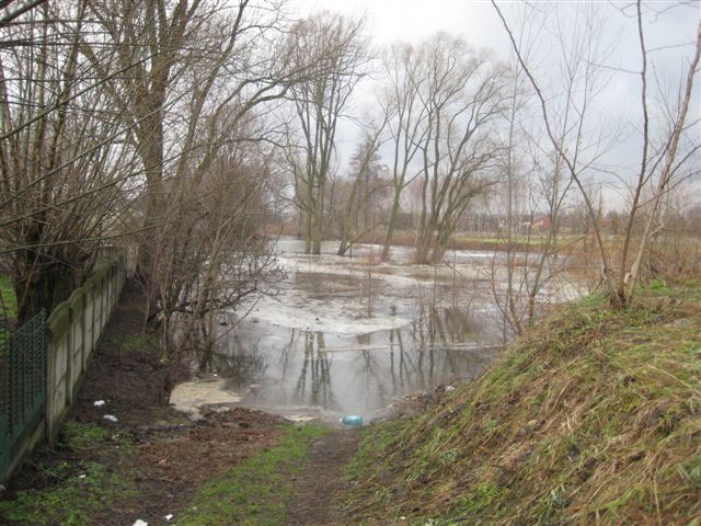 Osiedle Rajsków - Kalisz - Danuta Synkiewicz