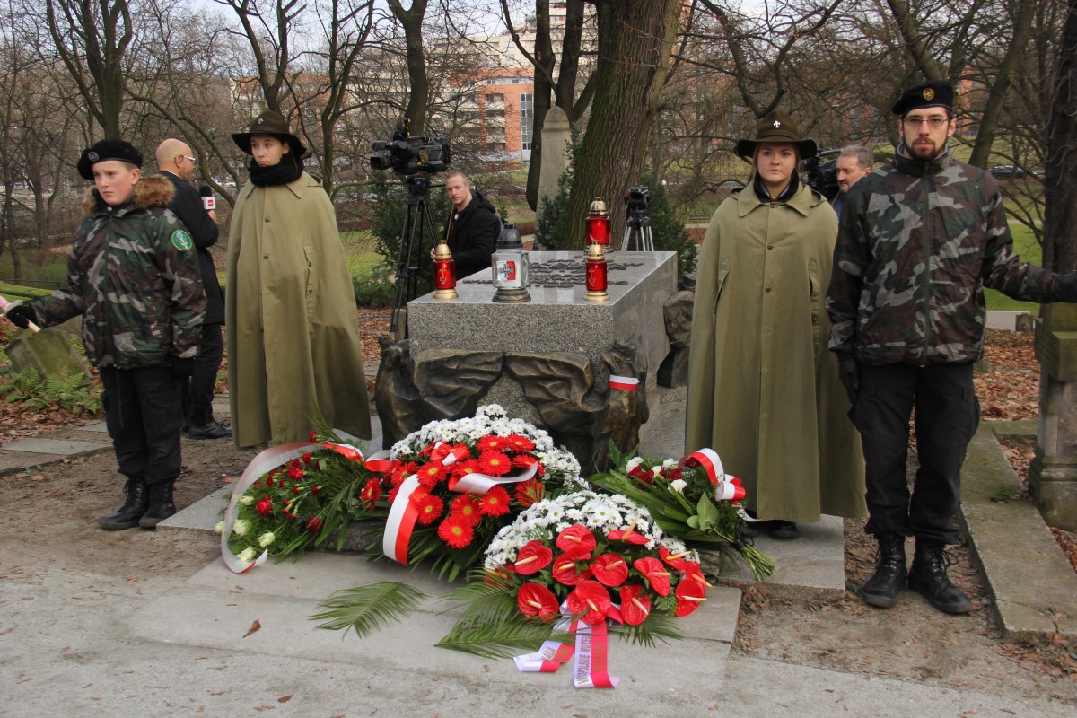 powstanie wielkopolskie 2015 (10) - Grzegorz Maciejewski