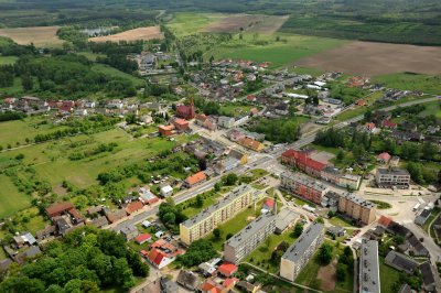 okonek z góry - Okonek.pl