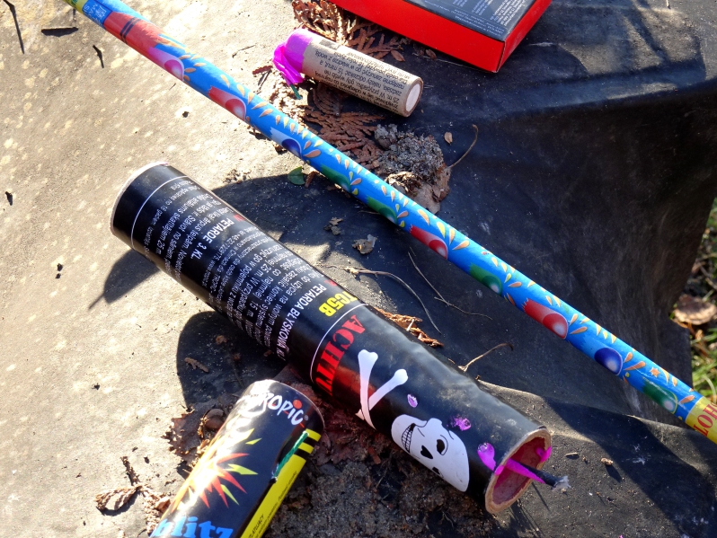 fajerwerki groźna sprawa (9) - Justyna Kowalewska