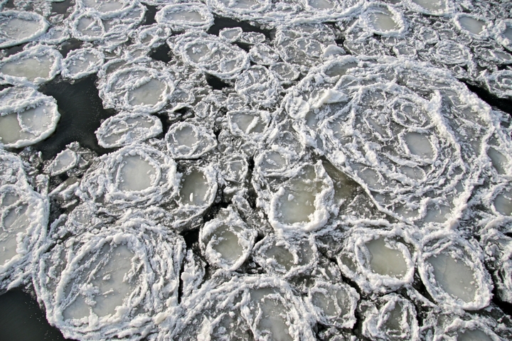 sryż na warcie - Marcin Wesołowski