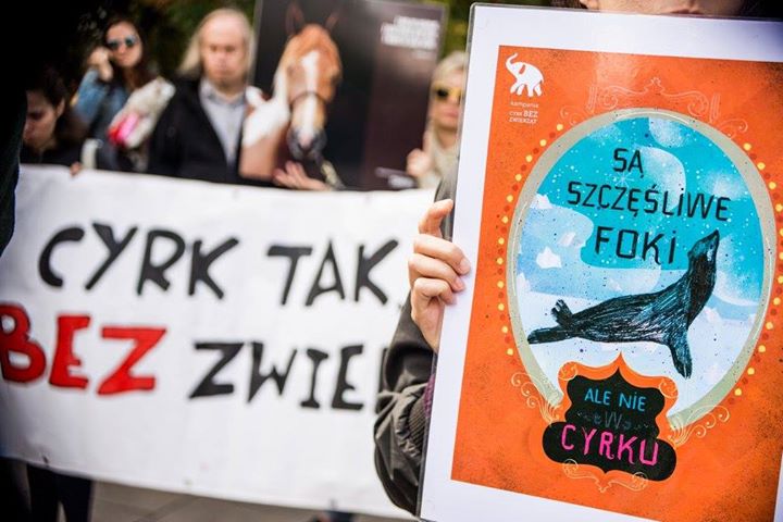 cyrk bez zwierząt - Koalicja Cyrk bez zwierząt