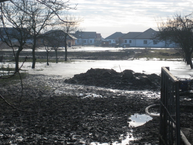 Zalana Rokietnica - woda - Adam Michalkiewicz