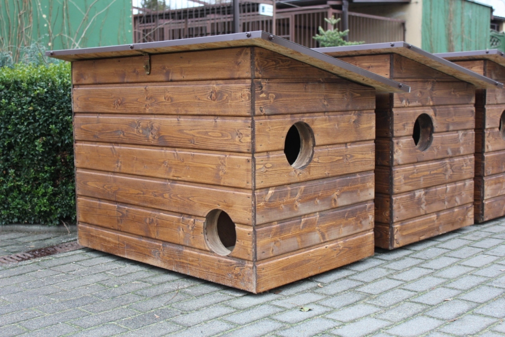 domki dla kotów od miasta - Urząd Miasta Poznania