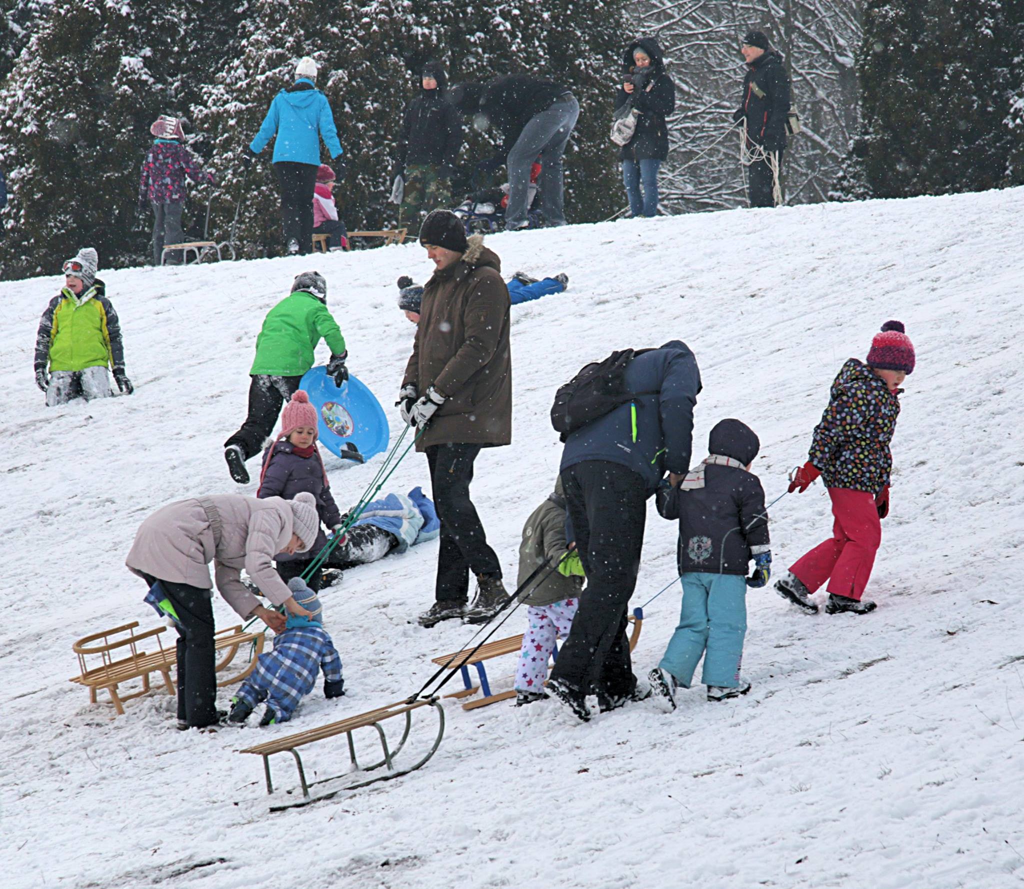 Sanki cytadela - Marcin Wesołowski