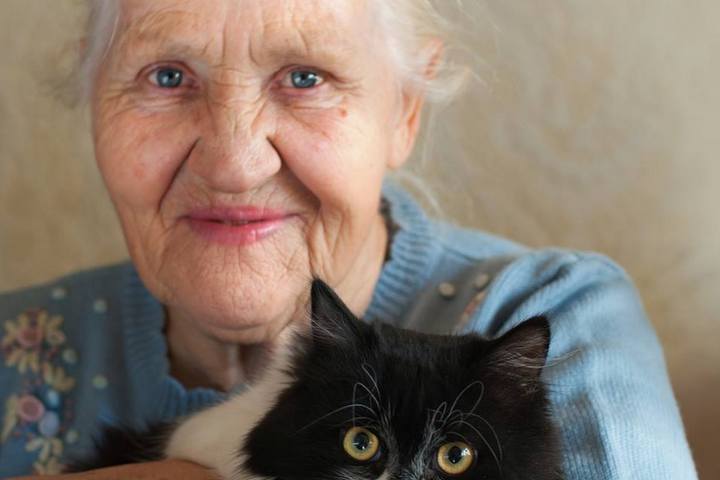 babcia z kotem - Radio Merkury - Fotolia.pl