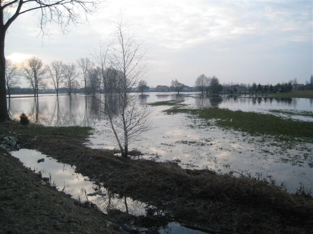 Zalany wjazd do Rydzyny - Jacek Marciniak