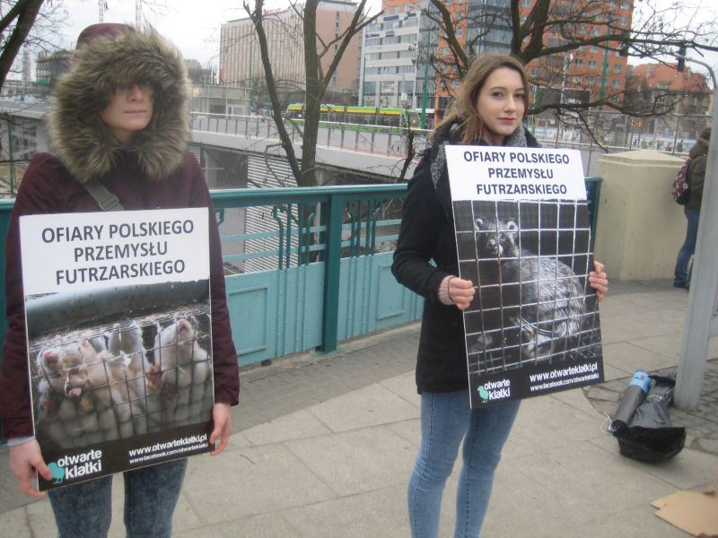 otwarte klatki - Jacek Butlewski