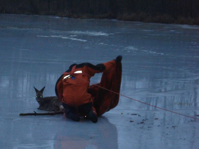 Uratowana sarna - Straż Pożarna Chodzież