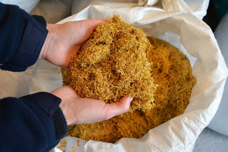 tyton w ciężarówce - Policja Leszno