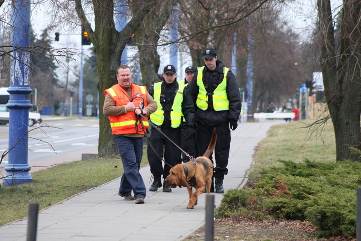 niemiecki pies tropiący (1) - Marcin Wesołowski
