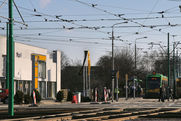 poszukiwania tylman utrudnienia - Justyna Kowalewska