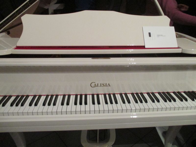 fortepian calisia - Danuta Synkiewicz