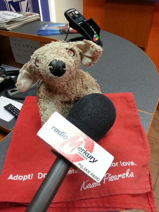 Aleksandra Włodarczyk