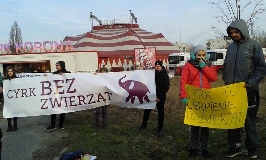 cyrk protest - Maciej Kluczka