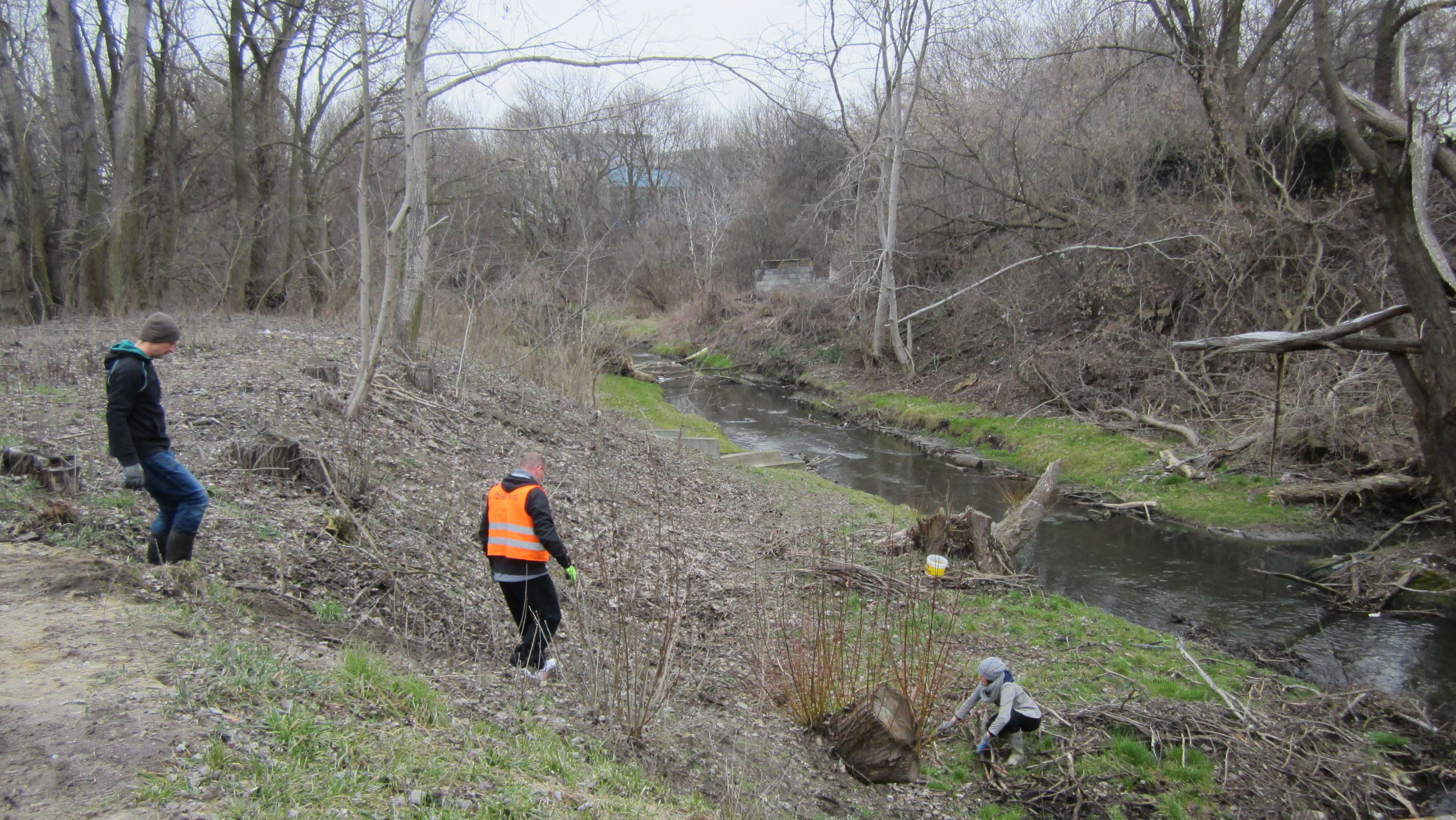 rzeka główna - Maciej Kluczka