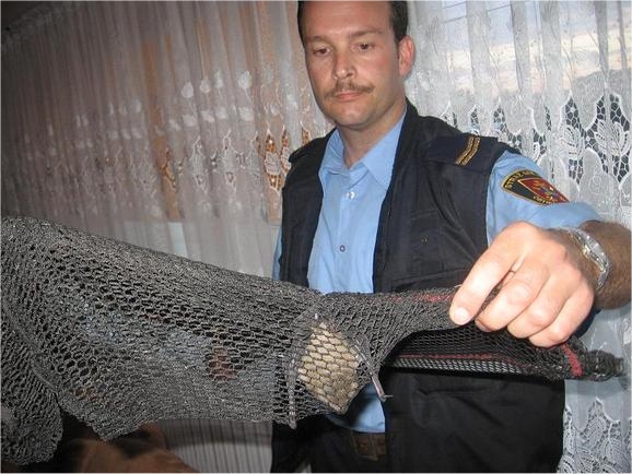 Strażnik miejski Kalisz z nietoperzem - Straż Miejska Kalisz