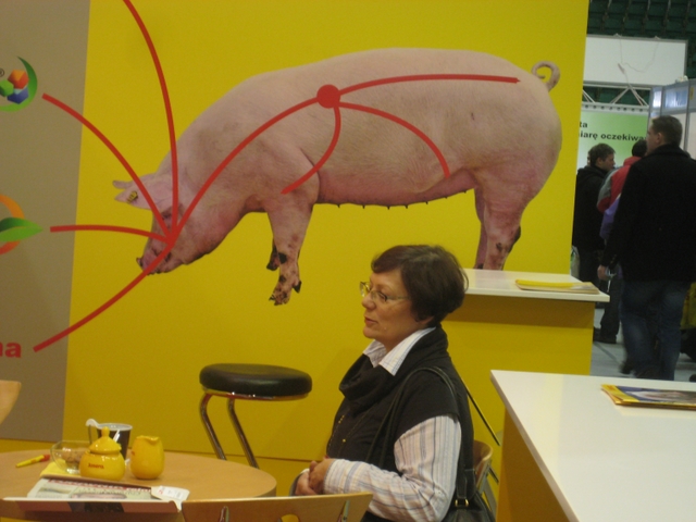 Targi świń w Poznaniu - Adam Sołtysiak