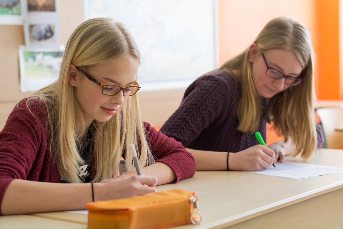 Egzamin gimnazjalny - Szymon Mazur