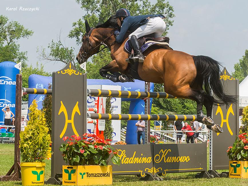 koń konie skoki przez przeszkody - Karol Rzeczycki