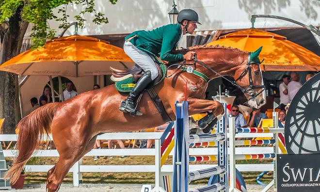 koniki sukces - jskrzyczynski.pl