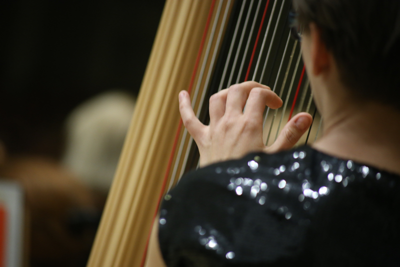 muzyka i antarktyka koncert (7) - Antoni Hoffmann