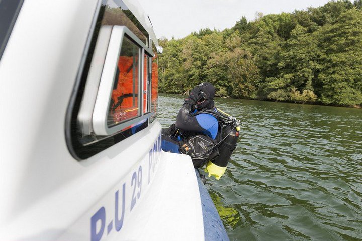 pletwonurek wskakuje - Policja