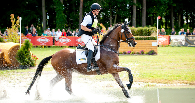 baborówko 2016 - Festiwal Jeździecki w Baborówku